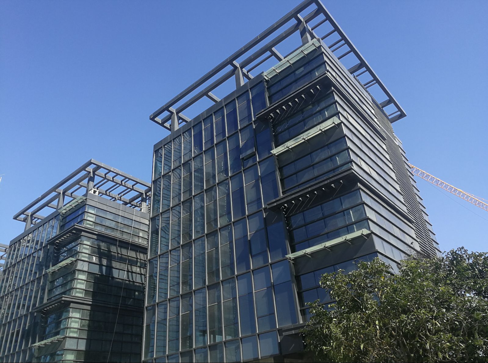 【劳模的2020】王佳庆：泰盛科创园项目工地上的“钢铁侠”