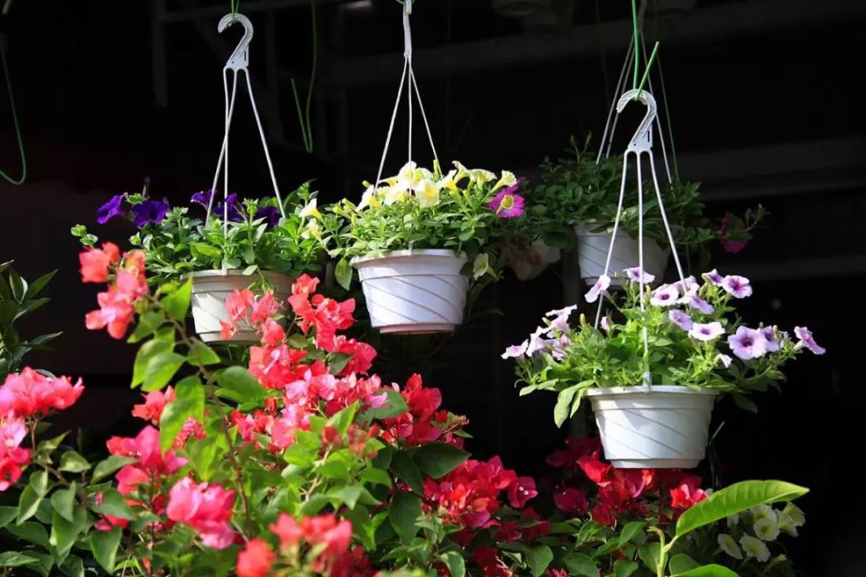 深圳批发年货零食市场,今年深圳的年货市场在哪里