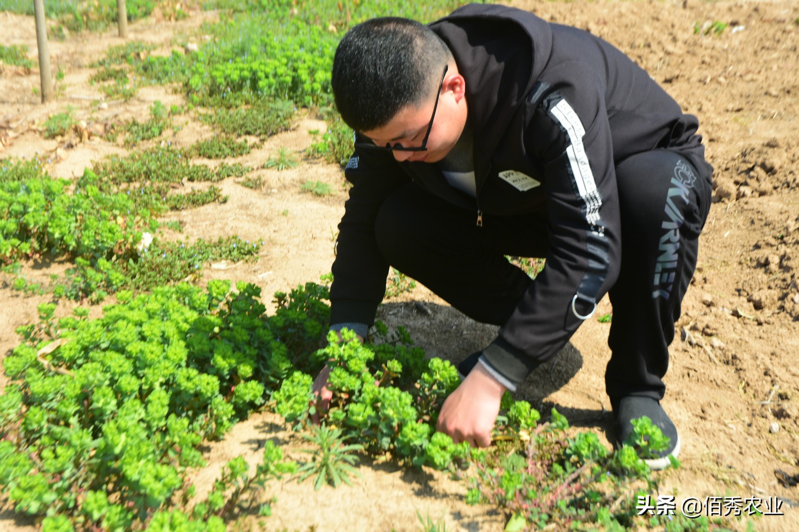 农村农场创业可以做什么,想回农村种植养殖创业怎么办