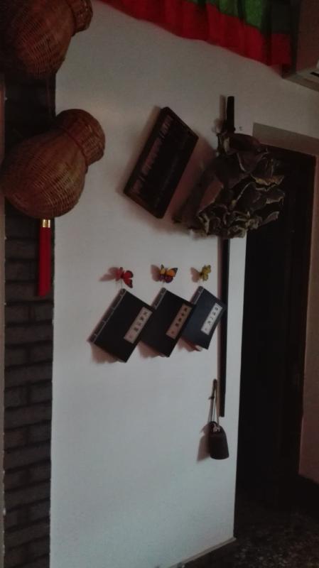 我爱我家之露台花园全景,我爱我家之乡土篇