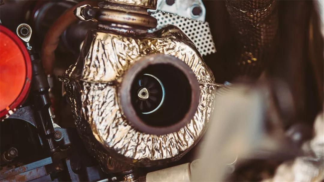 披着驴皮的狮子,披着马皮的狮子