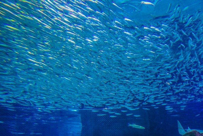 去韩国必买清单,韩国购物攻略衣服