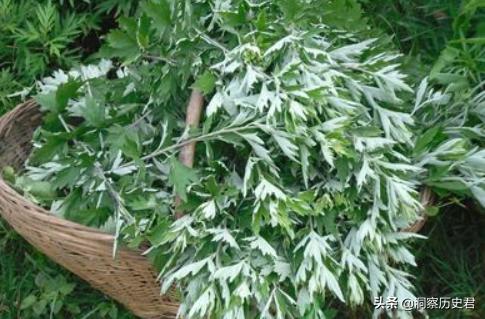 古时候行军打仗用什么喝水,古代行军打仗后勤解决办法