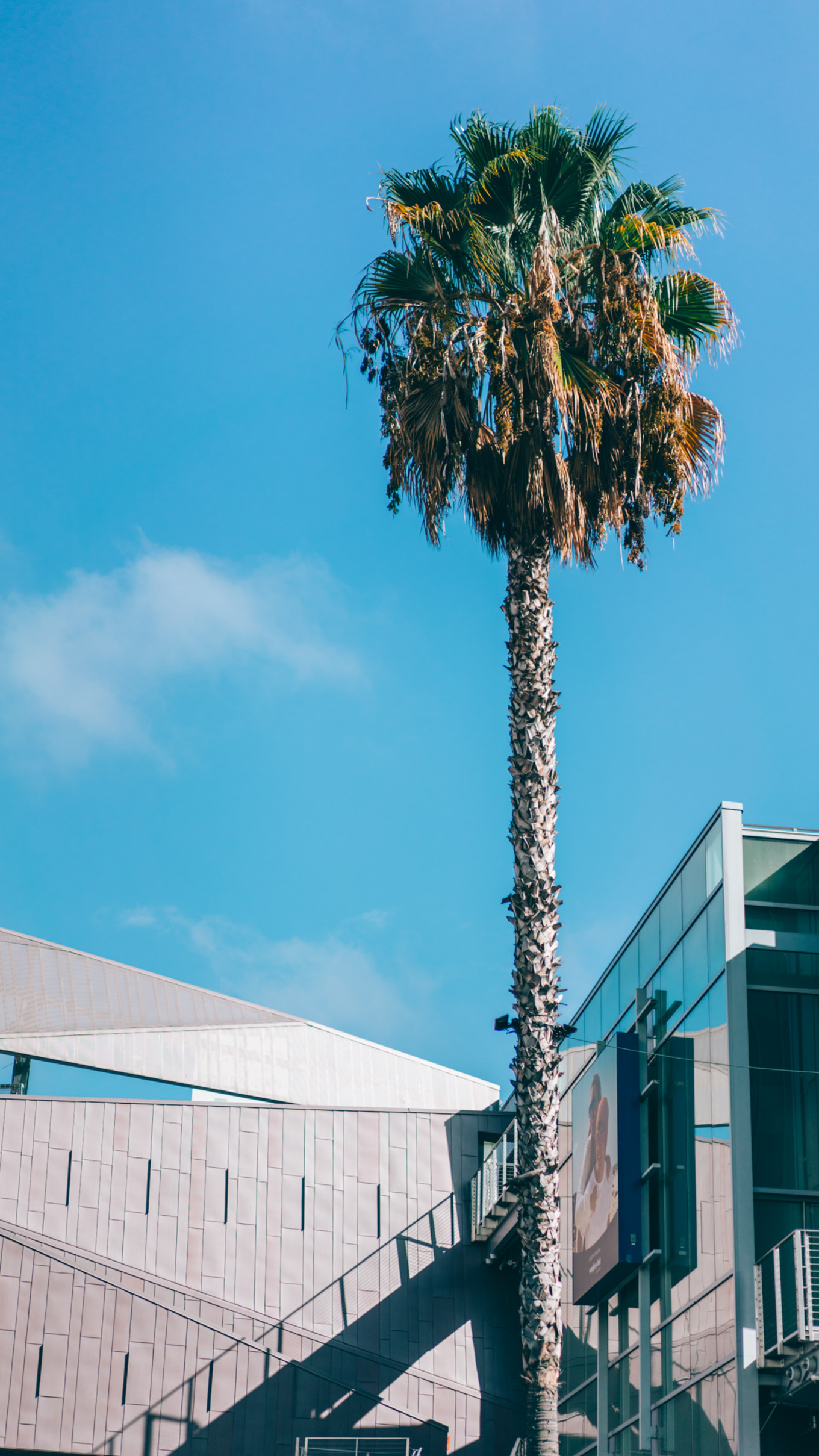 洛杉矶机场转机攻略详细图解,洛杉矶转机攻略