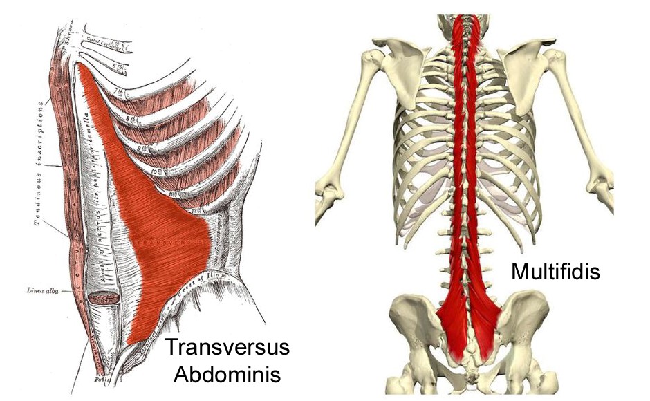不要人云亦云励志语录,切忌人云亦云议论文
