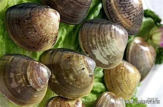 好吃不贵的海鲜种类有哪些,最好吃又最常见海鲜有几种