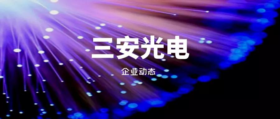 三安光电未来的盈利能力,三安光电未来会翻倍吗