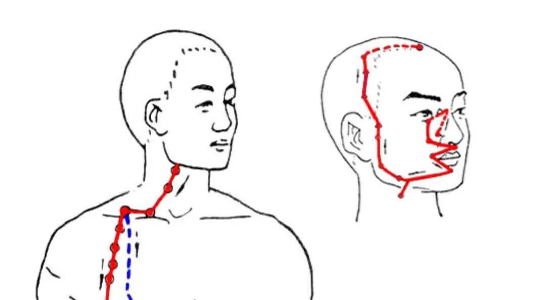 牙痛掐手上的什么穴位,牙痛掐穴位