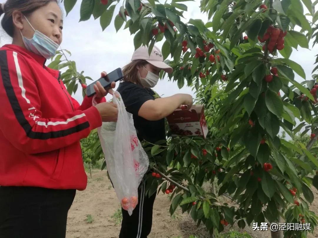 吃樱桃的注意事项图文,吃樱桃的注意事项