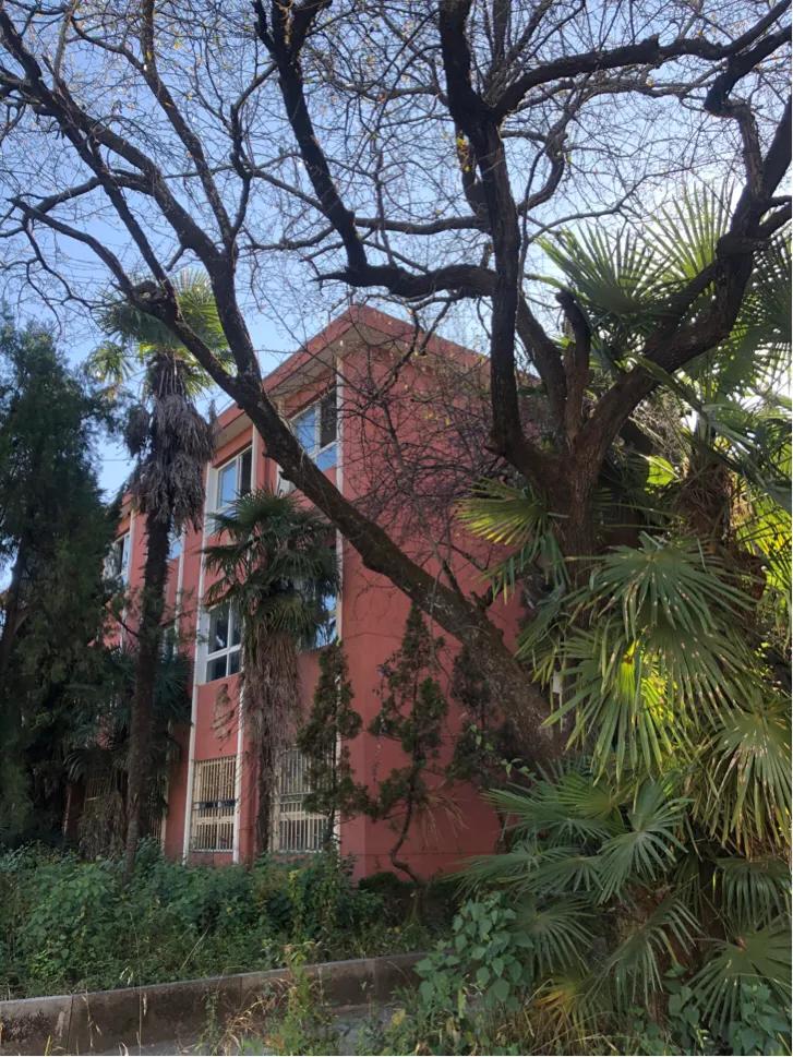 不该消失的电影,昆四中属于什么档次