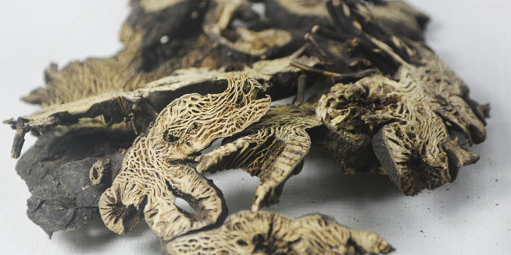 鞍山哪些地方能捡到宝贝,鞍山漂亮宝贝