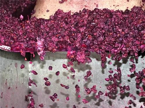 葡萄酒颜色褐色正常吗,干红葡萄酒颜色浅是低端酒吗