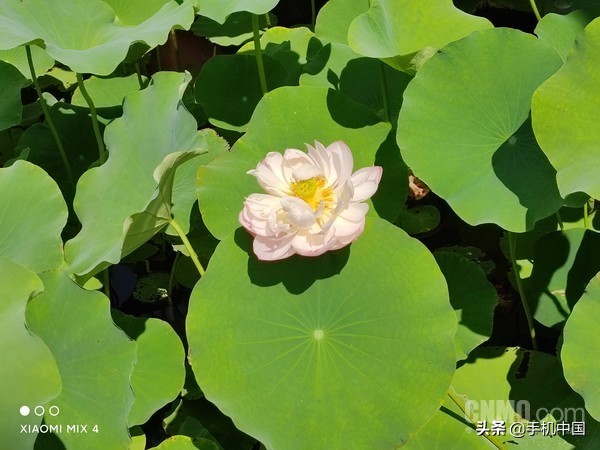 小米mix4拆机评测视频,小米mix4评测