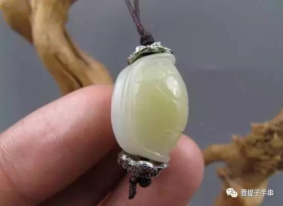 乌龟壳富甲天下,小小龟壳富甲天下