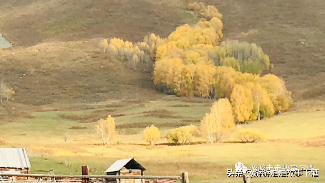 *疆新**自由1：15000公里带狗走全疆（*疆新**全程路书）