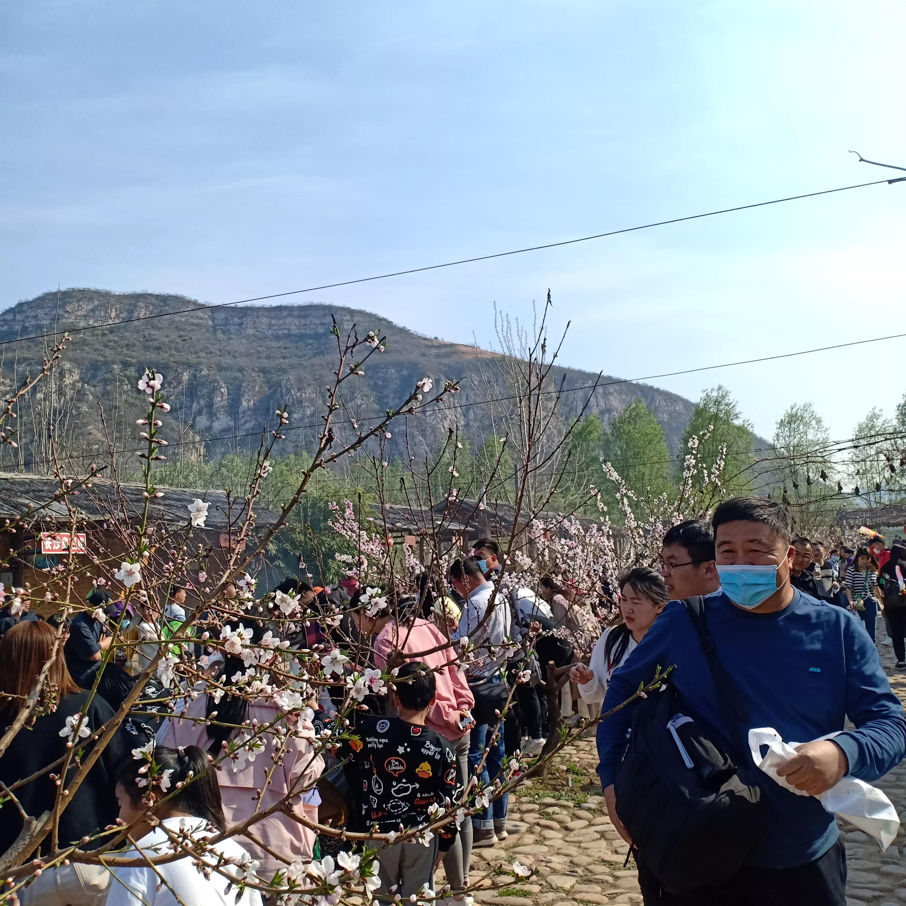 豌豆农庄周末去人多吗,豌豆农庄游玩攻略