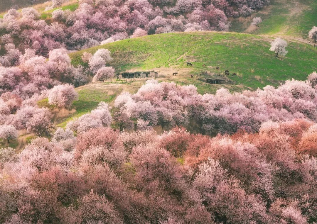 这才是国内34省区的最美天堂!