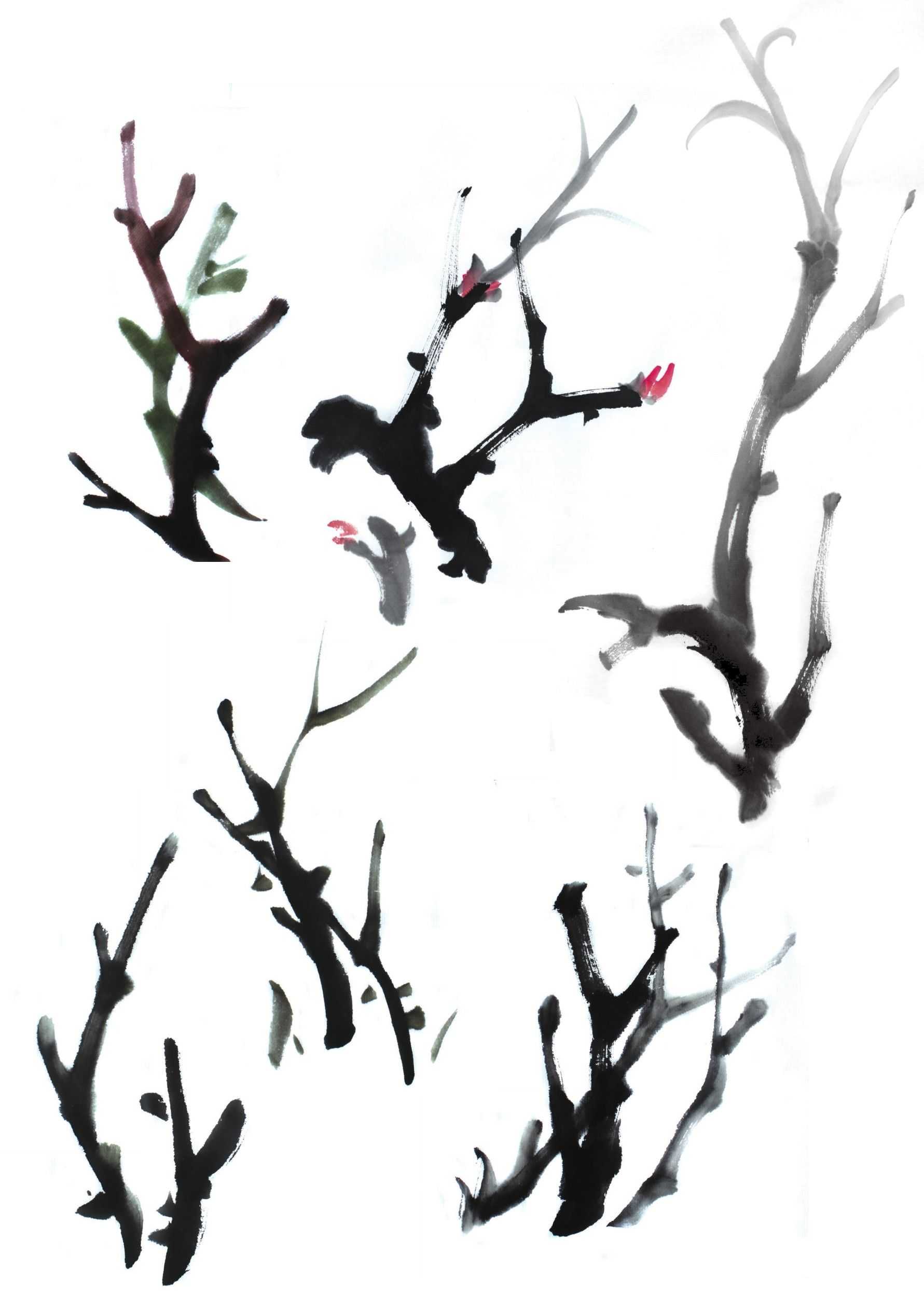 各种花的画法教程简笔画,各种花的画法大全简单漂亮