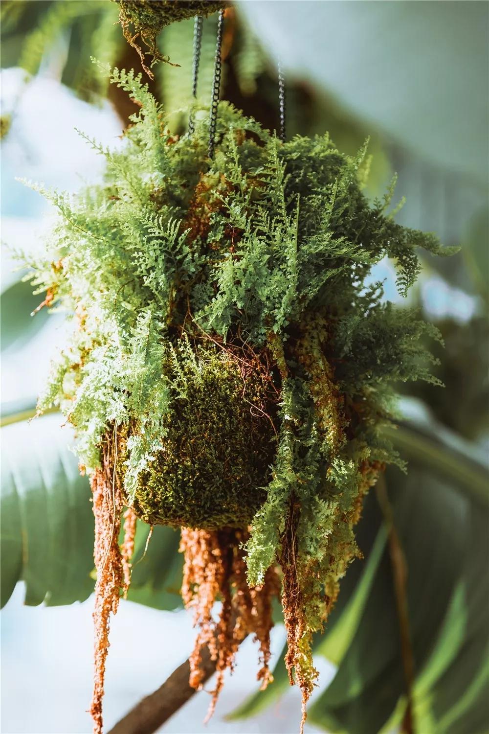 探秘！10000㎡打造世界烘焙商业新物种！！！（系列一）