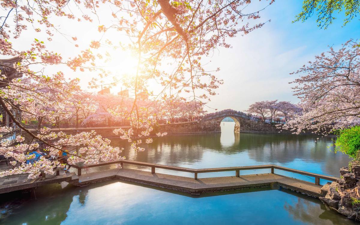 无锡鼋头渚赏樱花旅游攻略,推荐去无锡鼋头渚赏樱花的缘由