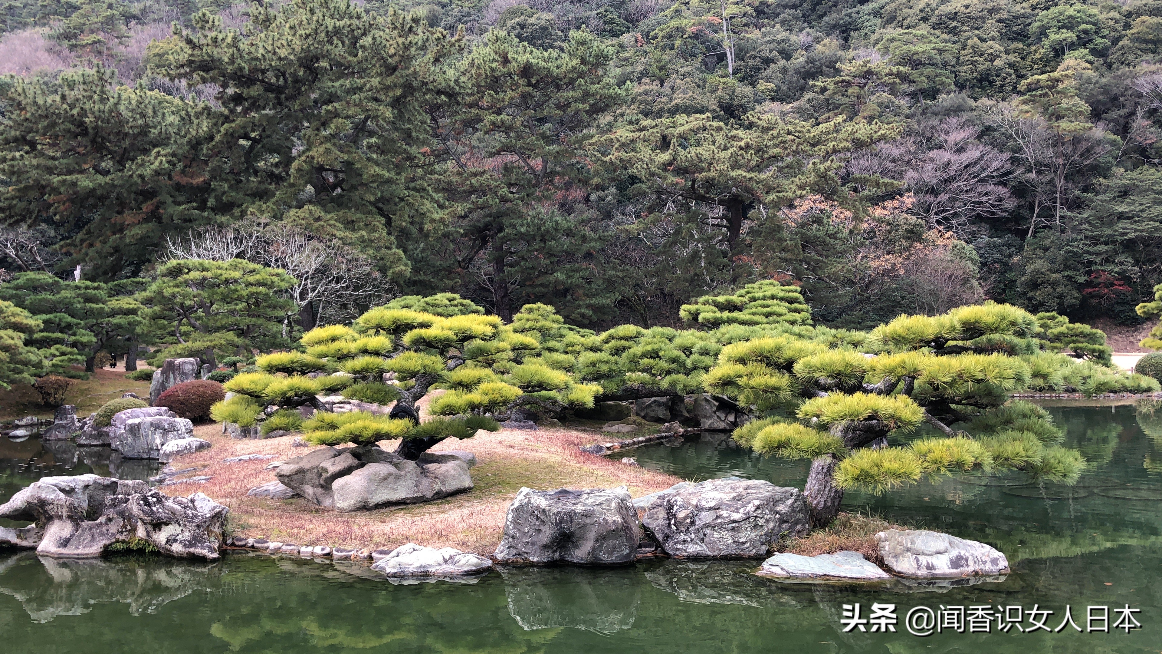 日本的米其林三星餐厅,日本米其林三星参观