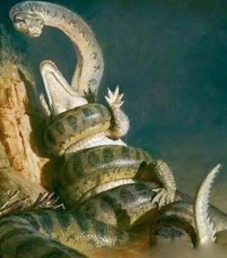 世界上最危险的两种树,世界上最危险的三个森林第三名