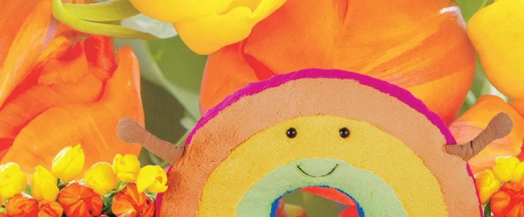 jellycat最好看的一款兔子,jellycat怎么养