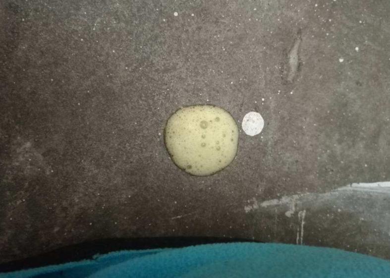 狗狗早上空腹吐黄泡沫,狗狗吐黄粘液为什么吃草