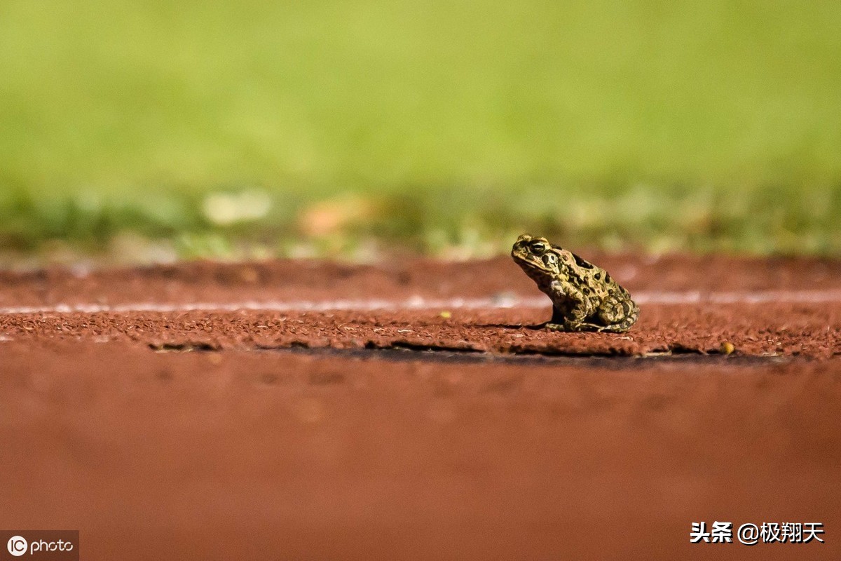 104年纪录!国足历史首次不胜菲律宾!归化不灵了?里皮4处令人不解