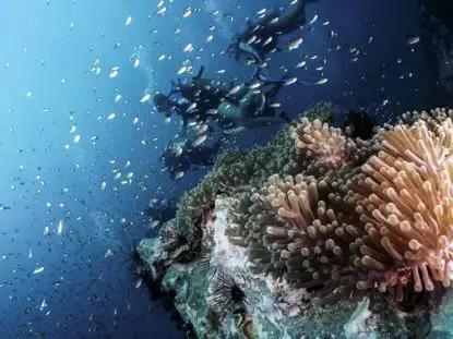 假期撒手没的戏精同事们,竟然在我挤春运的时候吹海风??(下)