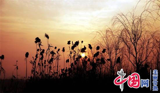 美丽常熟宣传片评论,常熟尚湖美丽风景