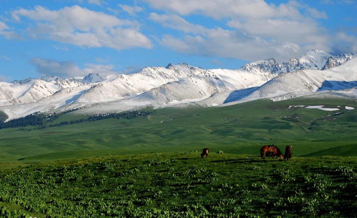 噶尔丹策零与达瓦奇,噶尔丹策零简介