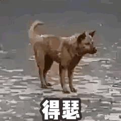 9.9国货眉笔,9.9元眉笔好物推荐