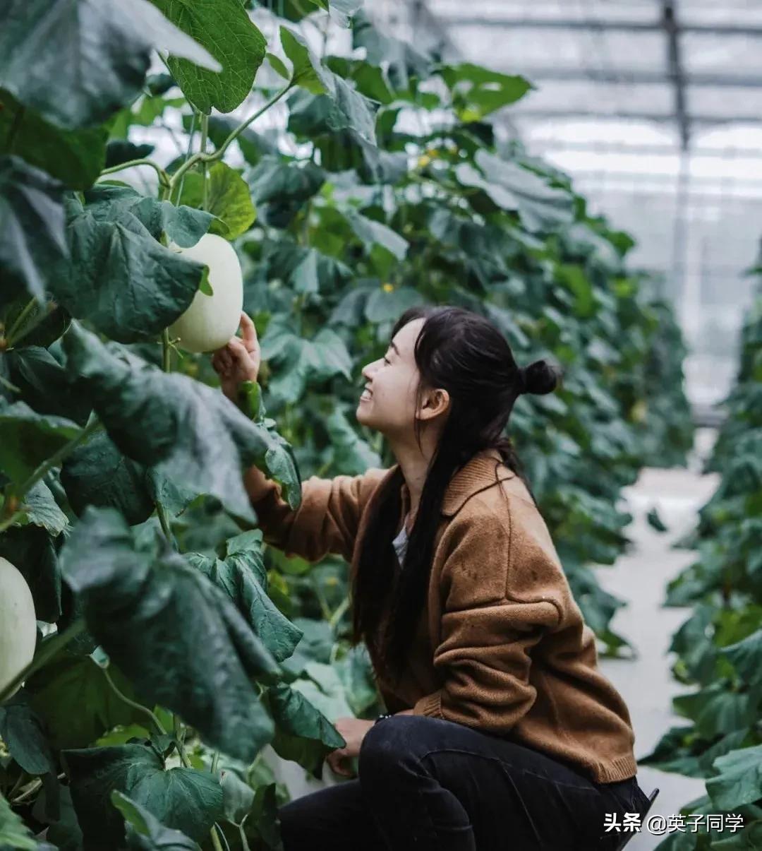 南昌农家乐采摘一日游,南昌采摘农家乐