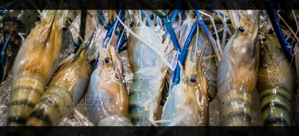 泰国旅游漫游,最新鲜玩转泰国攻略