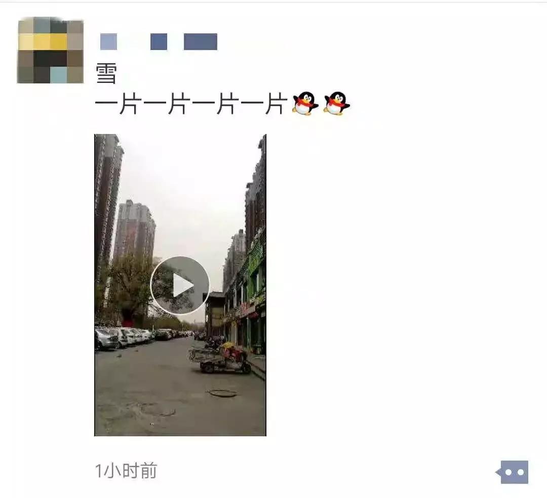 邯郸雪下哪里了,雪如约而至周末天气怎么样