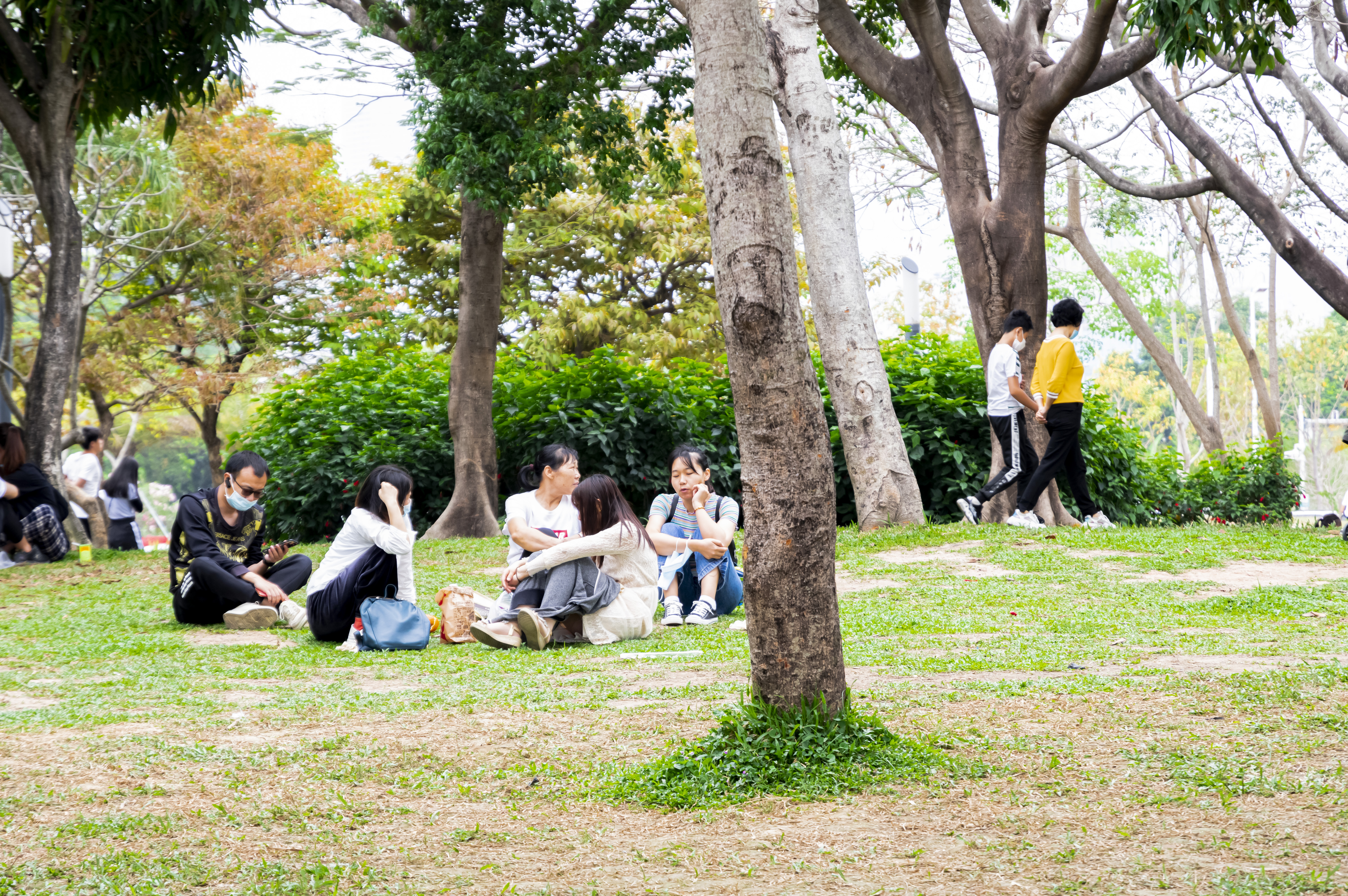 深圳10个最具怀念价值公园,深圳10大公园排名榜单最新公布