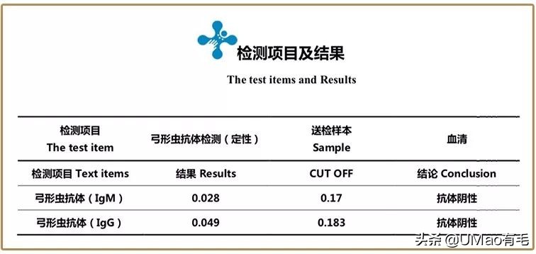 关于弓形虫你所不知道的一切,被弓形虫刷屏的视频