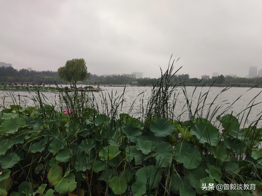 周末带娃出来抓抓虾,周六爸爸陪宝贝抓螃蟹