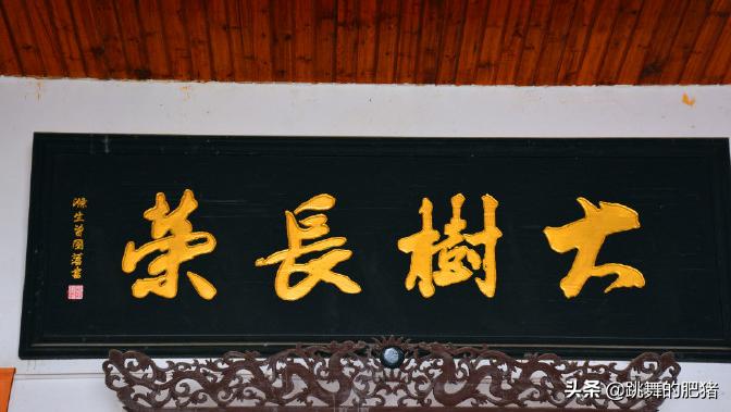 湘军名将之后、天性乐观幽默的陈赓大将，为何英年早逝