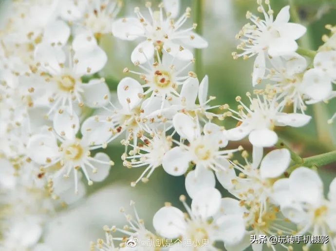 小米手机的遗憾之作,小米手机真香内行人都推荐这三款