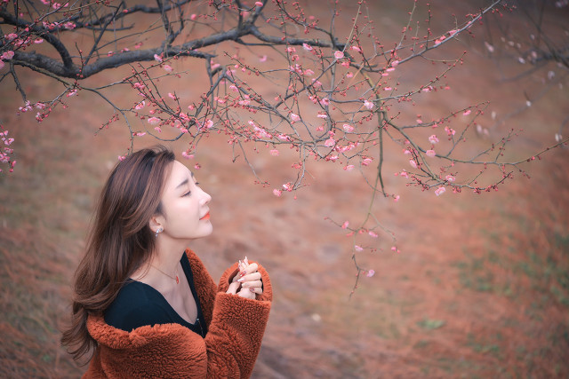 梅花十大经典诗句,梅花诗10首是谁写的