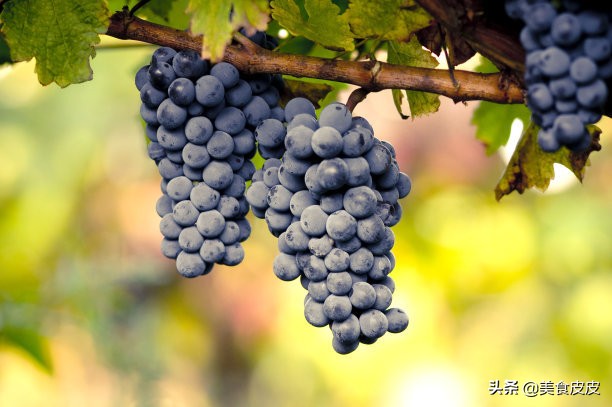 各个季节的时令水果有什么,各种水果都是哪些季节可以吃的