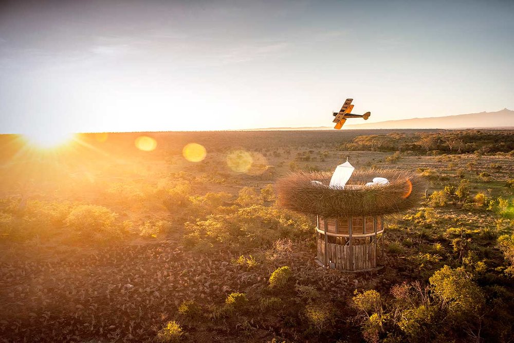 NAYPALAD鸟巢酒店——极致“野奢”体验