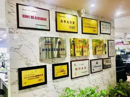 湖北云天下,武汉云天下教育