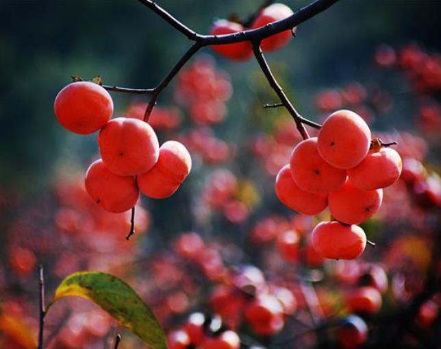 翻脸不认人的人是怎么养成的,人生有时我们要学会翻脸不认人