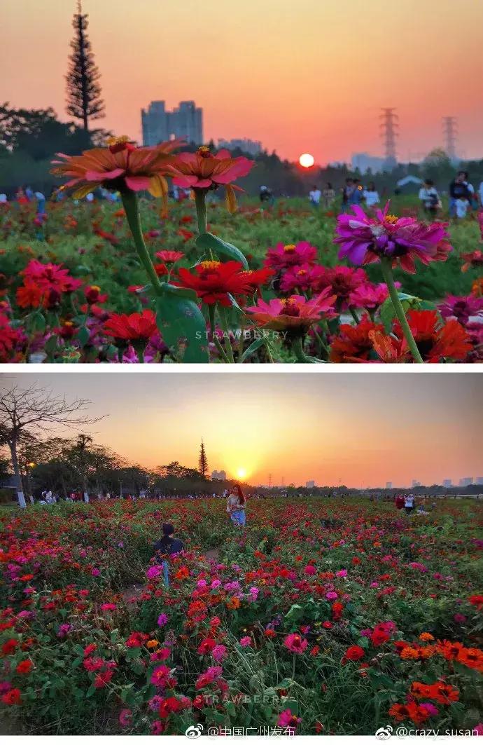 广州地铁旅游打卡攻略,广州适合春游的免费景点