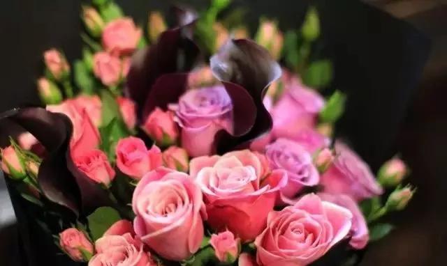 玫瑰花有哪些品种,玫瑰花有哪些品种大全