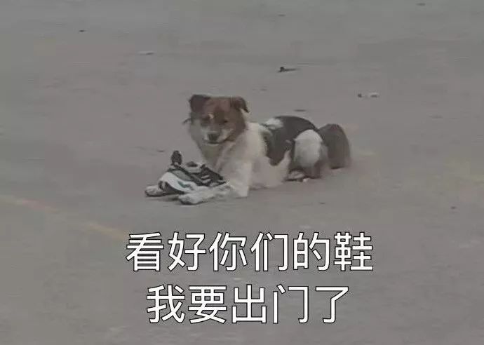 闉嬪瓙琚滃瓙琚埆浜哄伔,闉嬪瓙琚滃瓙琚伔