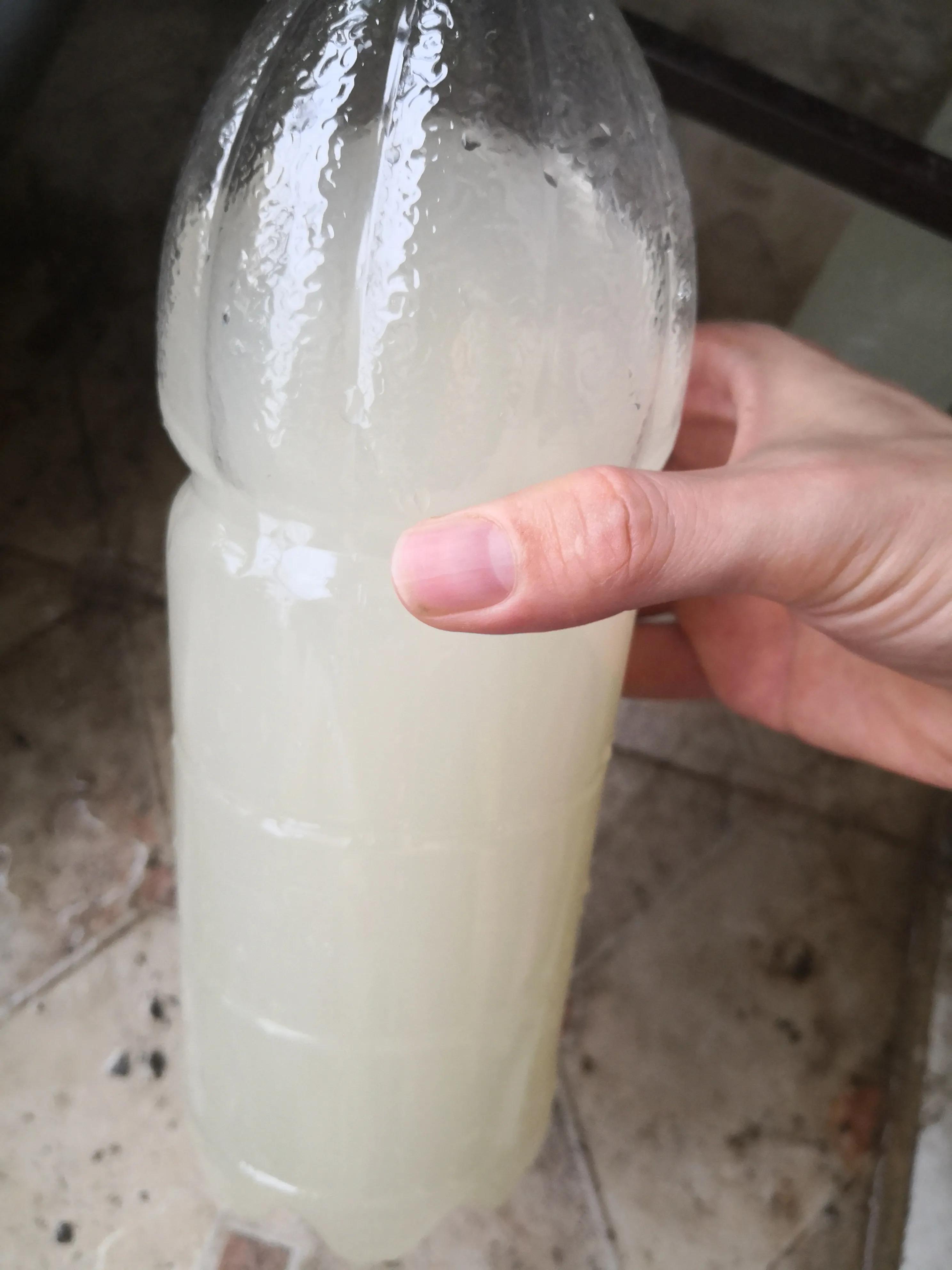 鱼缸养锦鲤水花视频,锦鲤水花苗德系